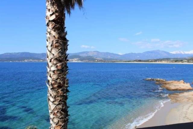 Hotel U Paradisu Porticcio  Dış mekan fotoğraf